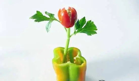 SALAD THANH CUA VÀ NẤM THÀNH GIỎ HOA TULIP