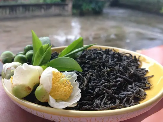 tác dụng của chè xanh chữa bệnh 5