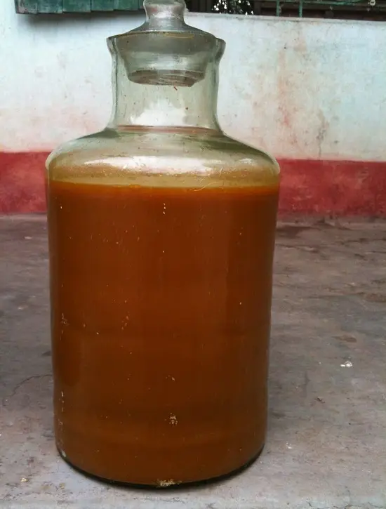 tác dụng của gừng rượu nghệ gừng 3