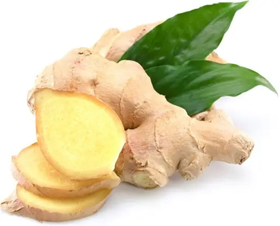 tác dụng của gừng rượu gừng 1