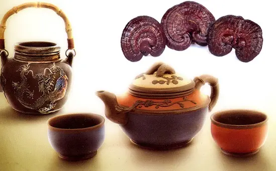 tác dụng của nấm linh chi đỏ 4