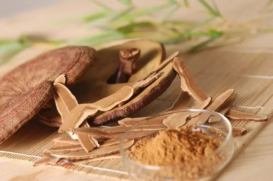 Tác dụng của nấm linh chi với phụ nữ có thai