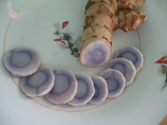 tác dụng của nghệ đen