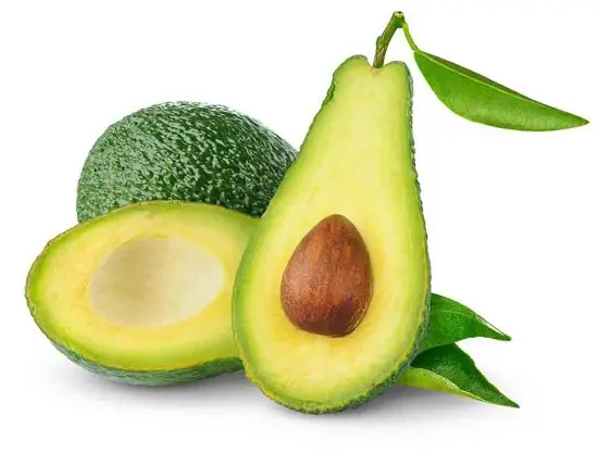 tác dụng của quả bơ