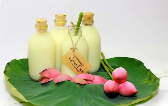 Tập làm sữa hạt sen đơn giản tại nhà