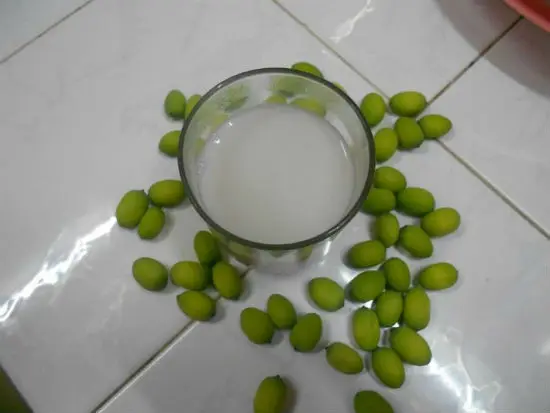 Lưu ý khi làm món sữa hạt sen