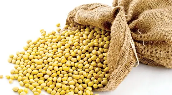 thực phẩm giàu vitamin E đậu tương