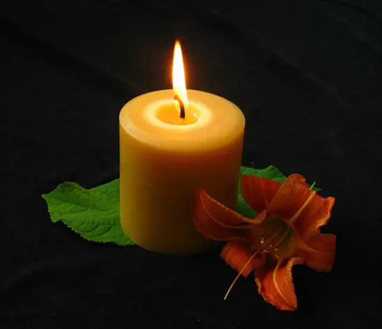 meo-thai-hanhkhong-cay-mat2