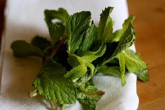 Tổng hợp 2 công thức làm cocktail bạc hà mát lạnh 2