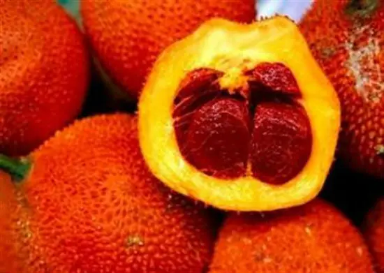 tu-lam-dau-gac-tai-nha-01