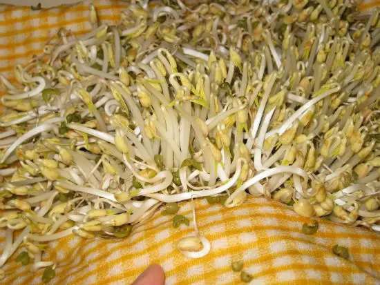 tu-alm-gia-o-nha-ma-khong-can-dung-den-may-5