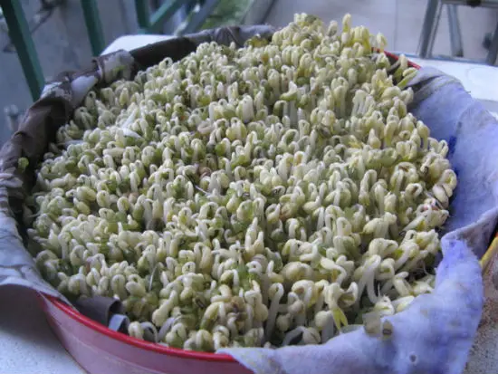 tu-alm-gia-o-nha-ma-khong-can-dung-den-may-3