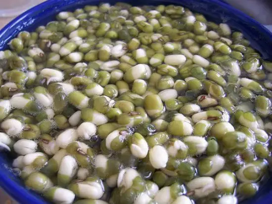 tu-alm-gia-o-nha-ma-khong-can-dung-den-may-2
