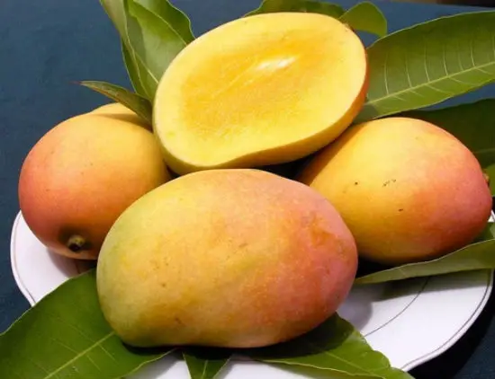 Những lưu ý khi làm sinh tố xoài với sữa tươi