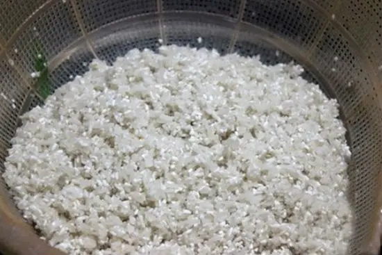 Tự nấu cháo trai tại nhà không khó 3