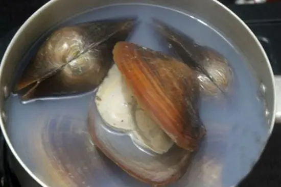 Tự nấu cháo trai tại nhà không khó 2